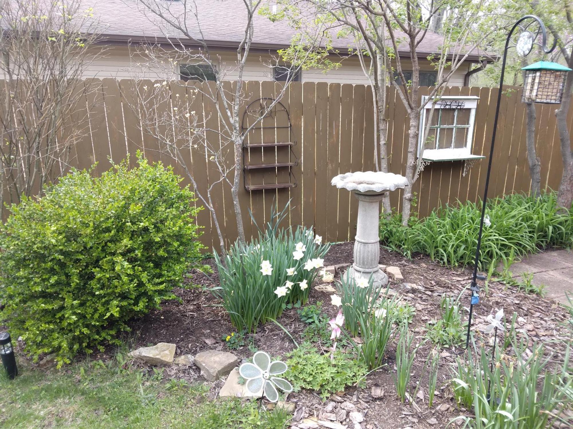 Bed and Breakfast Betty Lous Garden Nashville Exterior foto